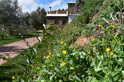 a garden with yellow flowers in front of a building at Dreams Alpujarra in Pampaneira