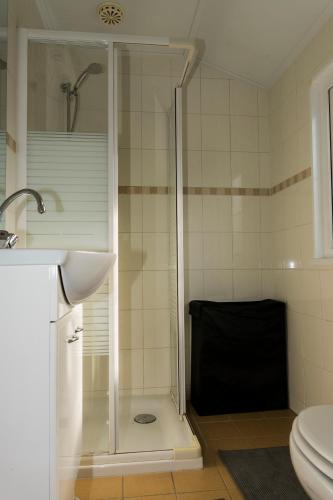 a shower in a bathroom with a toilet and a sink at Chaletparc Krabbenkreek Zeeland - Chalet 6 in Sint Annaland