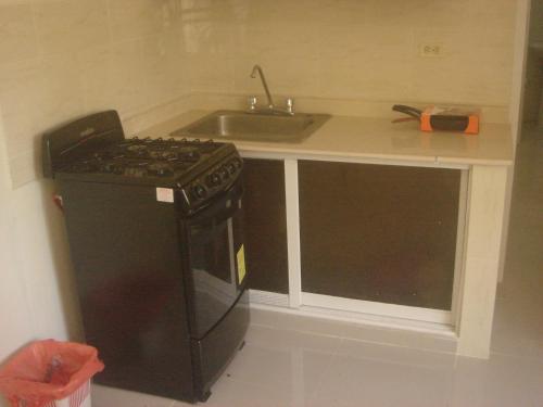 a kitchen with a stove and a sink at Dre Broeders Apartments Juan Dolio in Juan Dolio