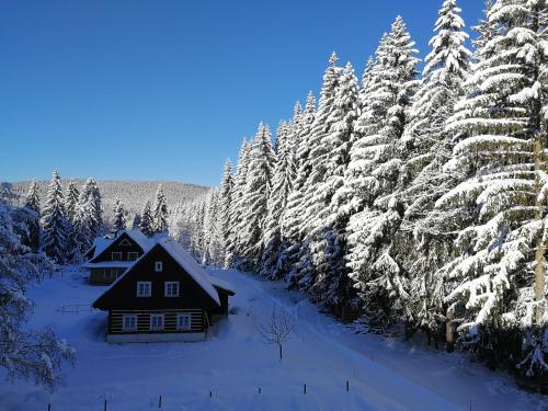 a cabin in the snow next to a forest of trees at Penzion Bílá voda in Harrachov