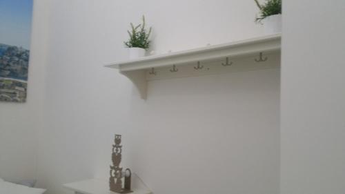 ein Regal an einer Wand mit zwei Pflanzen drauf in der Unterkunft La Casa di Titti in Matera
