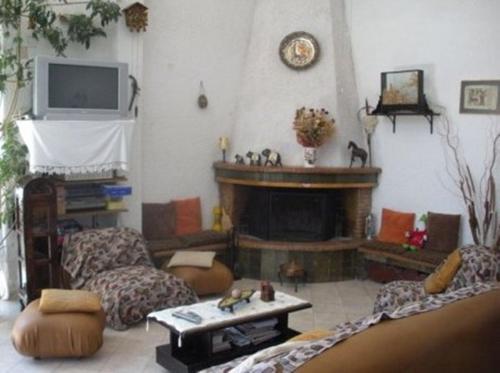 a living room with a couch and a fireplace at Villa Kalavrita Hotel in Kalavrita