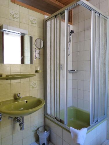 a bathroom with a green sink and a shower at Hotel B&B Steinasäge in Bonndorf im Schwarzwald