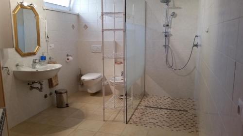 een badkamer met een douche, een toilet en een wastafel bij Appartamento del Cardellini in Santa Caterina