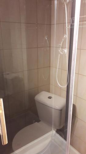 a bathroom with a toilet and a glass shower at Villa Paradiso in Wrocław
