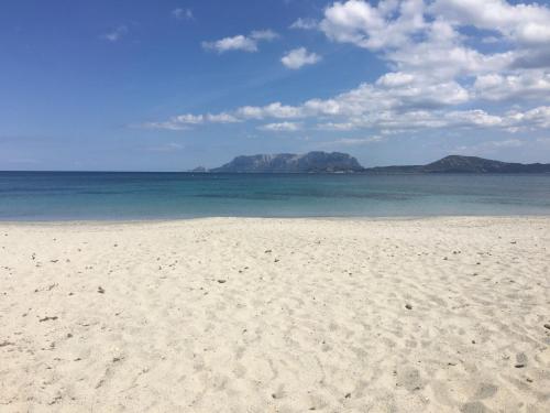 a sandy beach with a view of the ocean at Hotel Terranova in Olbia