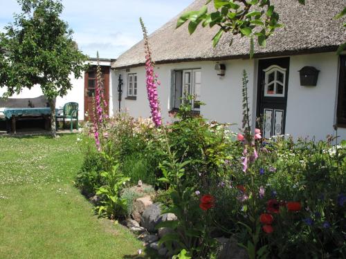 a garden in front of a house with flowers at Haus-an-de-Marsch in Midlum
