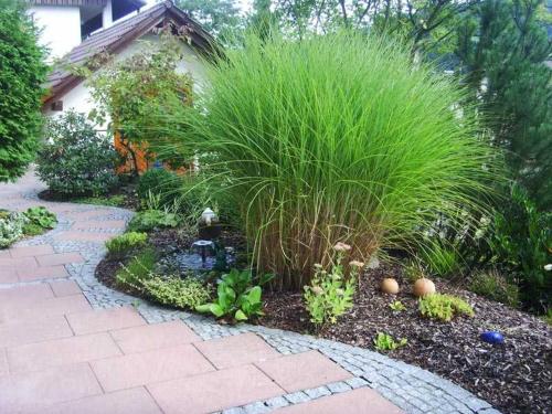 a garden with a pond and some plants at Ferienwohnung Himmelsbach in Schuttertal