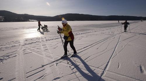a group of people cross country skiing on the snow at Apartmán Adam in Lipno nad Vltavou