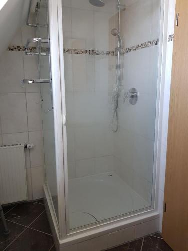 a shower with a glass door in a bathroom at Ferienwohnung "Zum Hexenhäusle" in Weißenburg in Bayern