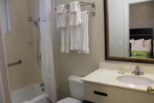 W łazience znajduje się umywalka, toaleta i lustro. w obiekcie Layne Hotel w mieście San Francisco