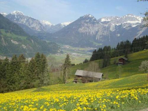 a field of yellow flowers on a hill with a barn at Appartementhaus Eberharter in Hart im Zillertal