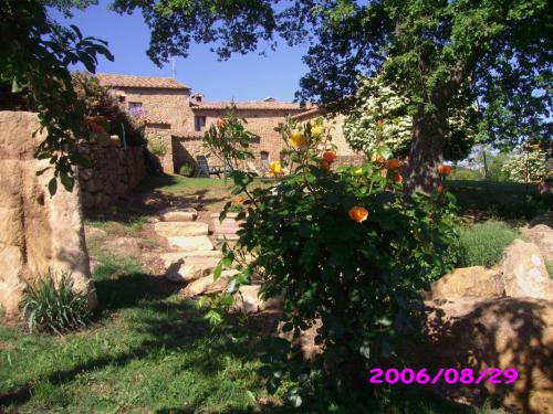 an orange tree in front of a house at Villa Fonte all'Oppio con area piscina recintata in Pienza