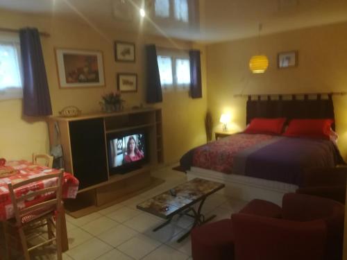 ein Schlafzimmer mit einem Bett und einem TV. in der Unterkunft Maison in Montricher-le-Bochet