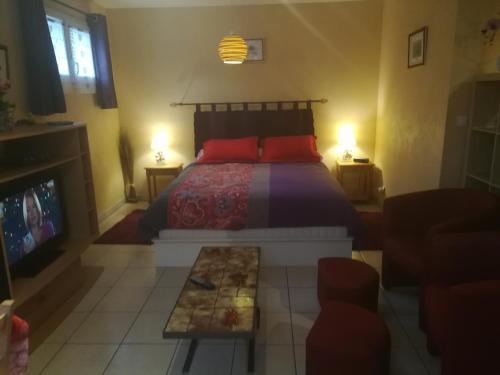 1 dormitorio con 1 cama con almohadas rojas y TV en Maison en Montricher-le-Bochet