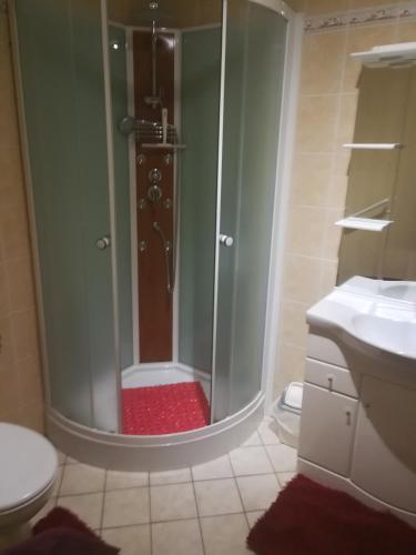 a bathroom with a shower and a toilet and a sink at Maison in Montricher-le-Bochet