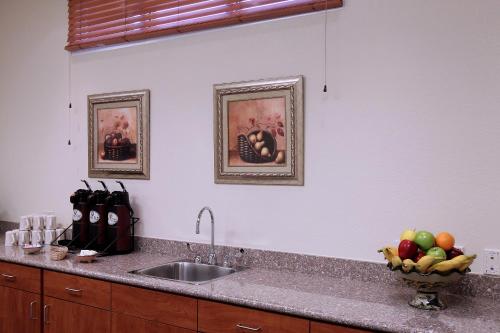 - un comptoir de cuisine avec un évier et un bol de fruits dans l'établissement Garden Place Suites, à Sierra Vista