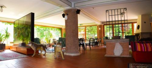LH Albergo Il Picchio