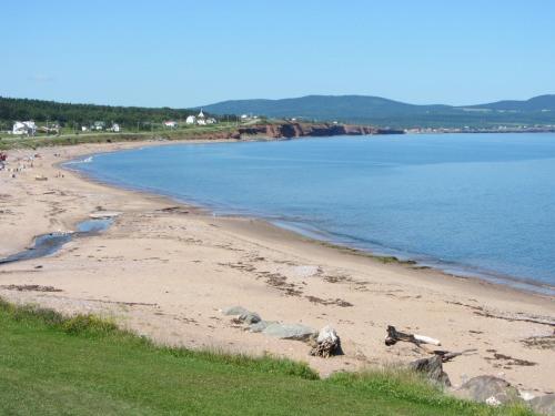 a beach with a dog standing on the sand at Chalets Nature Océan in Perce