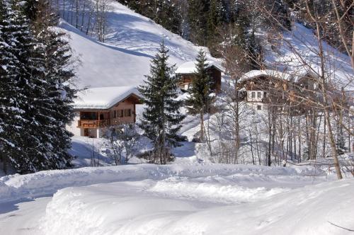 Alpenstern durante el invierno