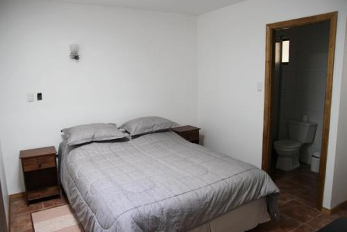 a bedroom with a bed and a toilet at Hotel Eclipse in Concepción