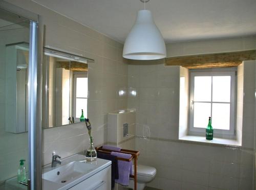 a bathroom with a sink and a toilet and a mirror at Villa Kentic in Buzet