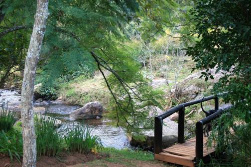 a wooden bridge over a river with a bear in the water at Sabie Star in Sabie