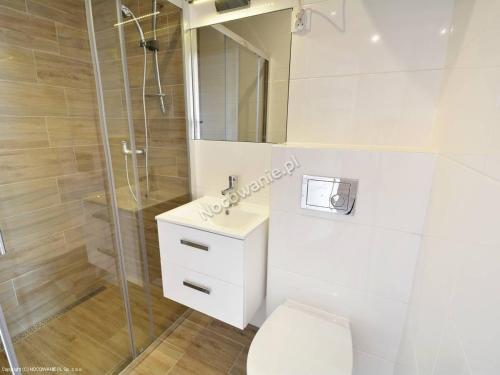 a bathroom with a shower and a toilet and a sink at Wrzosowe Wzgórze in Sarbinowo