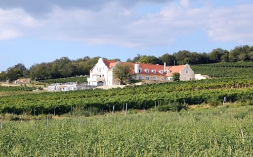 a house in the middle of a vineyard at Liszkay Borkúria in Monoszló