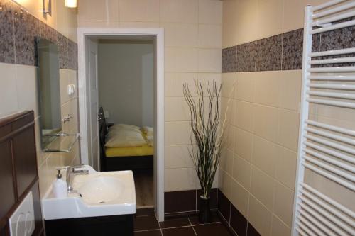 La salle de bains est pourvue d'un lavabo et d'un miroir. dans l'établissement Pokoj pro dva s výhledem, à Český Krumlov