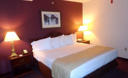 a hotel room with a large bed with two lamps at AmericInn by Wyndham Marshall in Marshall