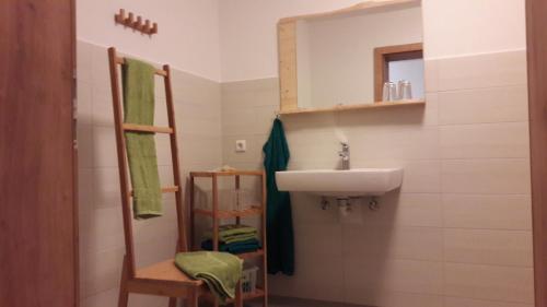 Ötscherblick Fam Winter في Frankenfels: حمام مع حوض ومرآة
