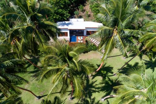 an aerial view of a house behind palm trees at The Remote Resort in Nawi