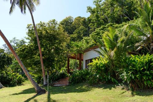 a house in the woods with a palm tree at The Remote Resort in Nawi