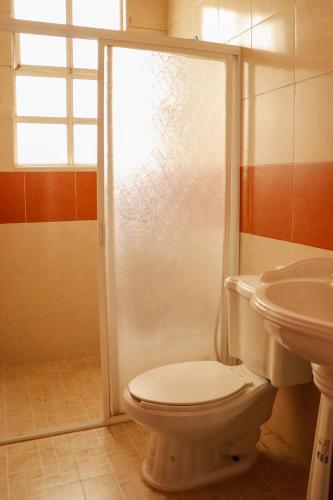 コミタン・デ・ドミンゲスにあるMESÓN DE LOS ÁNGELESのトイレと洗面台付きのバスルーム