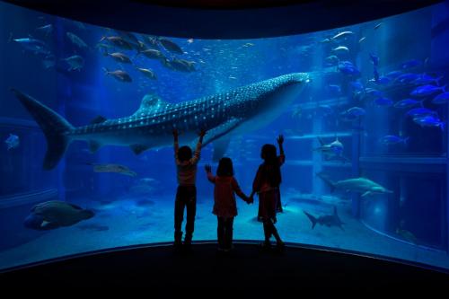 a group of children standing in front of a large aquarium at Hotel Zipang in Osaka