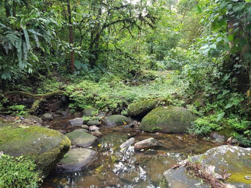 Cabaña Quetzal – Photos 5