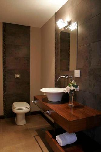 a bathroom with a sink and a toilet at Hotel Sierra de los Padres in Sierra de los Padres