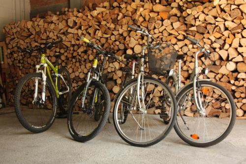 three bikes parked next to a pile of wood at Hotel-Gasthaus Engel Luttingen in Laufenburg