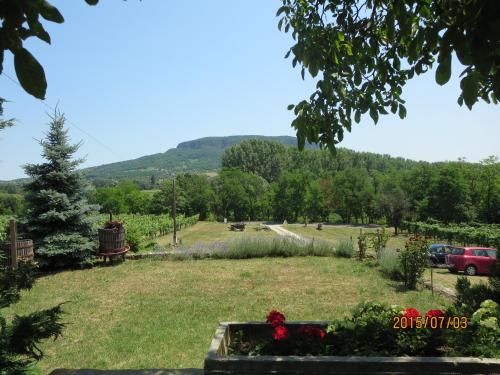 a view of a garden with a mountain in the background at Güns Vendégház in Szigliget