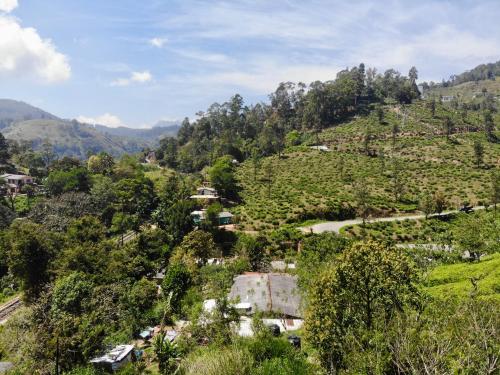 a village on a hill with trees and a road at Tunnel Gap Homestay in Ella