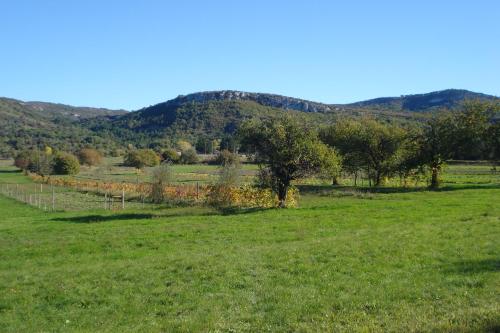 Afbeelding uit fotogalerij van Apartmani Aldo in Roč
