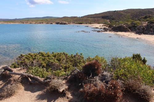 a view of a beach with bushes and water at Rena Majore in vacanza in Rena Majore