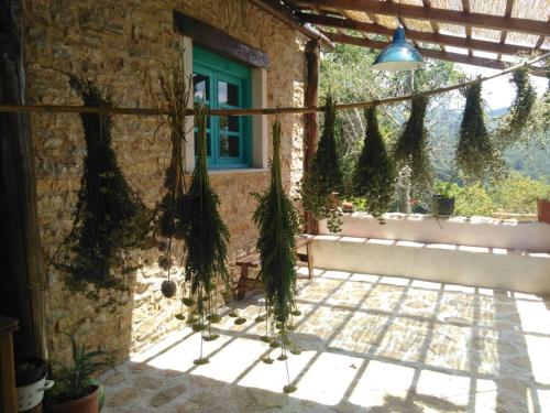 a stone building with a window and plants hanging from it at Masseria Cata catascia in Tortorella