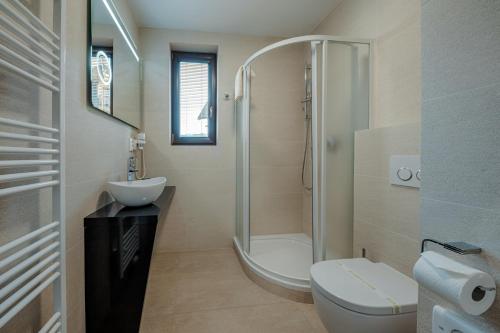 a bathroom with a shower and a toilet and a sink at Village Resort Hanuliak Apartmany in Belá