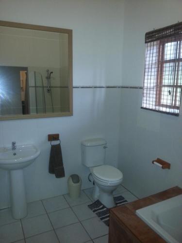 a bathroom with a toilet and a sink and a mirror at The Hexagon Wildlife Conservation in Uitenhage