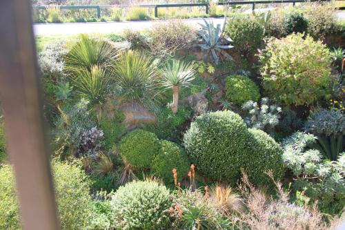 a garden with many different plants and trees at Hôtel de La Fossette in Le Lavandou