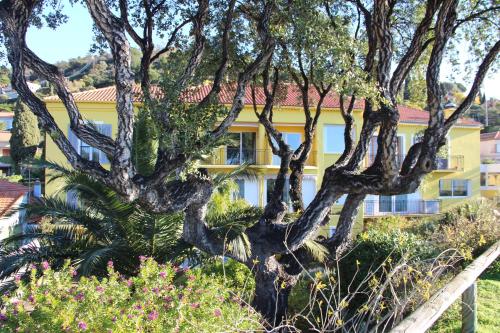 a tree in front of a yellow building at Hôtel de La Fossette in Le Lavandou