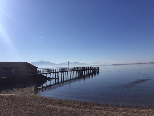 a dock on a body of water with birds on it at Residence in Chieming
