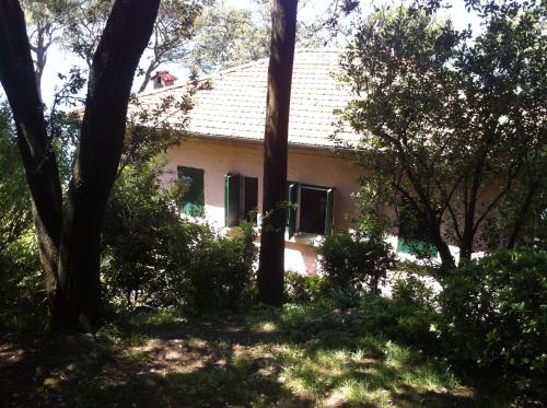 Κήπος έξω από το Villa Tregia